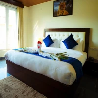 The Palm Suites